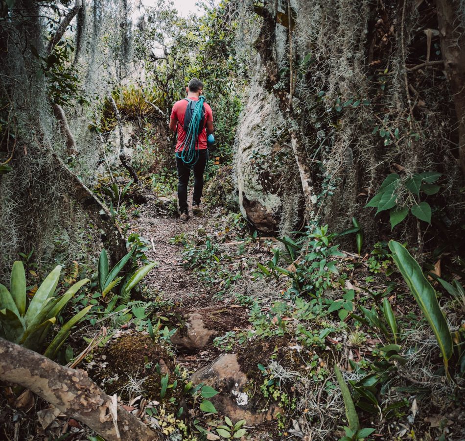 Compartido desde Lightroom mobile (4)